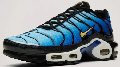 Screenshot 2024-12-14 at 3.09.38 AM